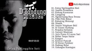 Full Album D'Tandung Project - Enteg Ngelinggihin Hati