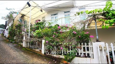 Cú lừa ngọt ngào: Mua nhà ở Đà Lạt rồi vỡ mộng chỉ sau 1 năm!