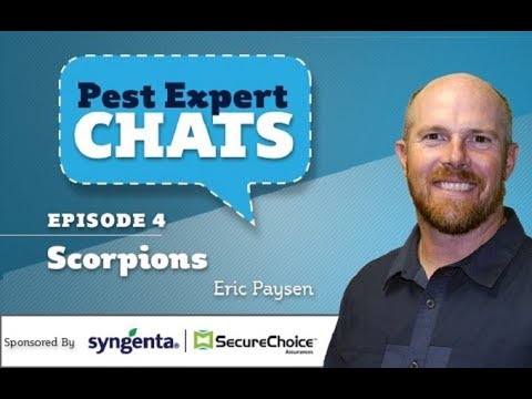 Dr. Eric Paysen On Pest Expert Chats, Episode 4: Scorpions