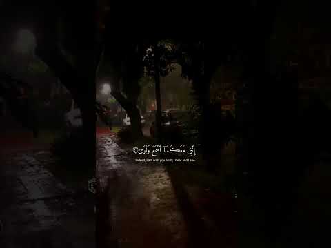 ١٦ يوليو ٢٠٢٣