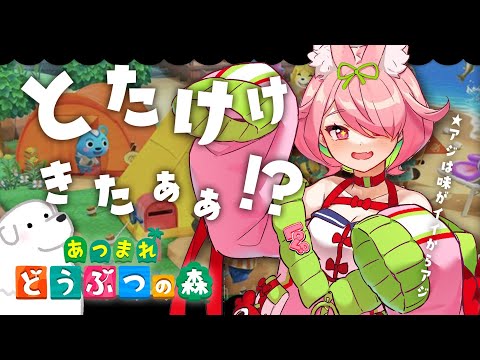 【あつ森】日曜の朝からやるゲームは最高！【にじさんじ/安土桃】