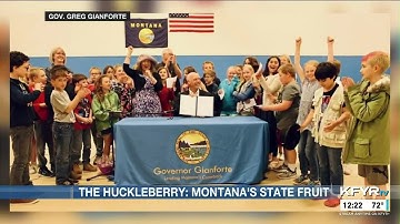 Huckleberry named Montana’s state fruit