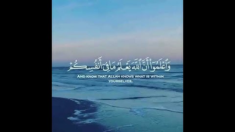 سورة البقرة | القارئ ياسر الدوسري