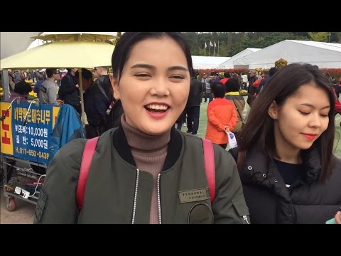 Videó: Koreai Krizantém