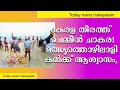 കേരള തീരത്ത് ചെമ്മീൻ ചാകര ! Bumper Shrimp Catch Reported on Kerala Coast! #kerala #chakara
