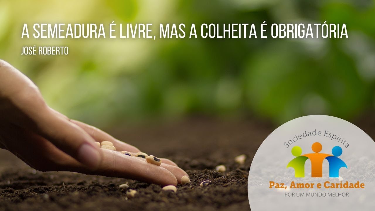 A semeadura é livre, mas a colheita é obrigatória - YouTube