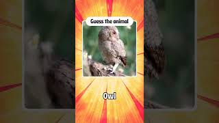 Test your wildlife knowledge | Guess the animal -2