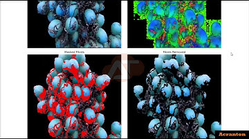 Arecanut Image Segmentation and Fibres are Removed Using Image Processing and ML