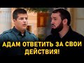 Даудов прокомментировал поступок сына Кадырова