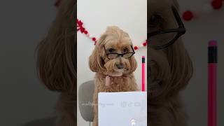 Per Noi Sono Due Minuti Per Loro È Uneternità