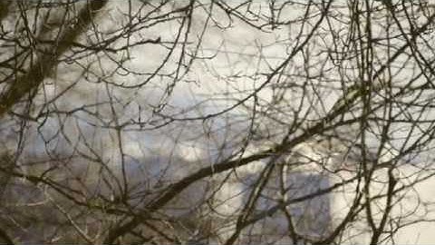 SHOOT SPEED/KILL LIGHT PRIMAL SCREAM