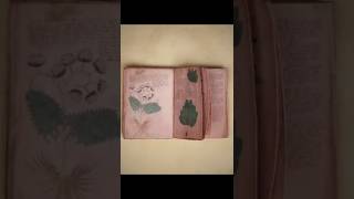 এই বই কি ভিনগ্রহবাসীদের লেখা!? Voynich Manuscript রহস্য উন্মোচন