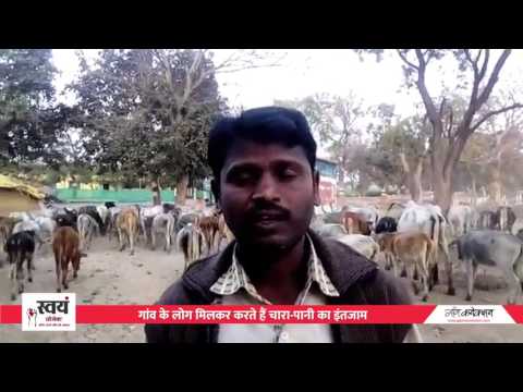 employment news tamilnadu छुट्टा पशुओं से बचने के लिए बुंदेलखंड के ग्रामीणों की ‘पहल’
