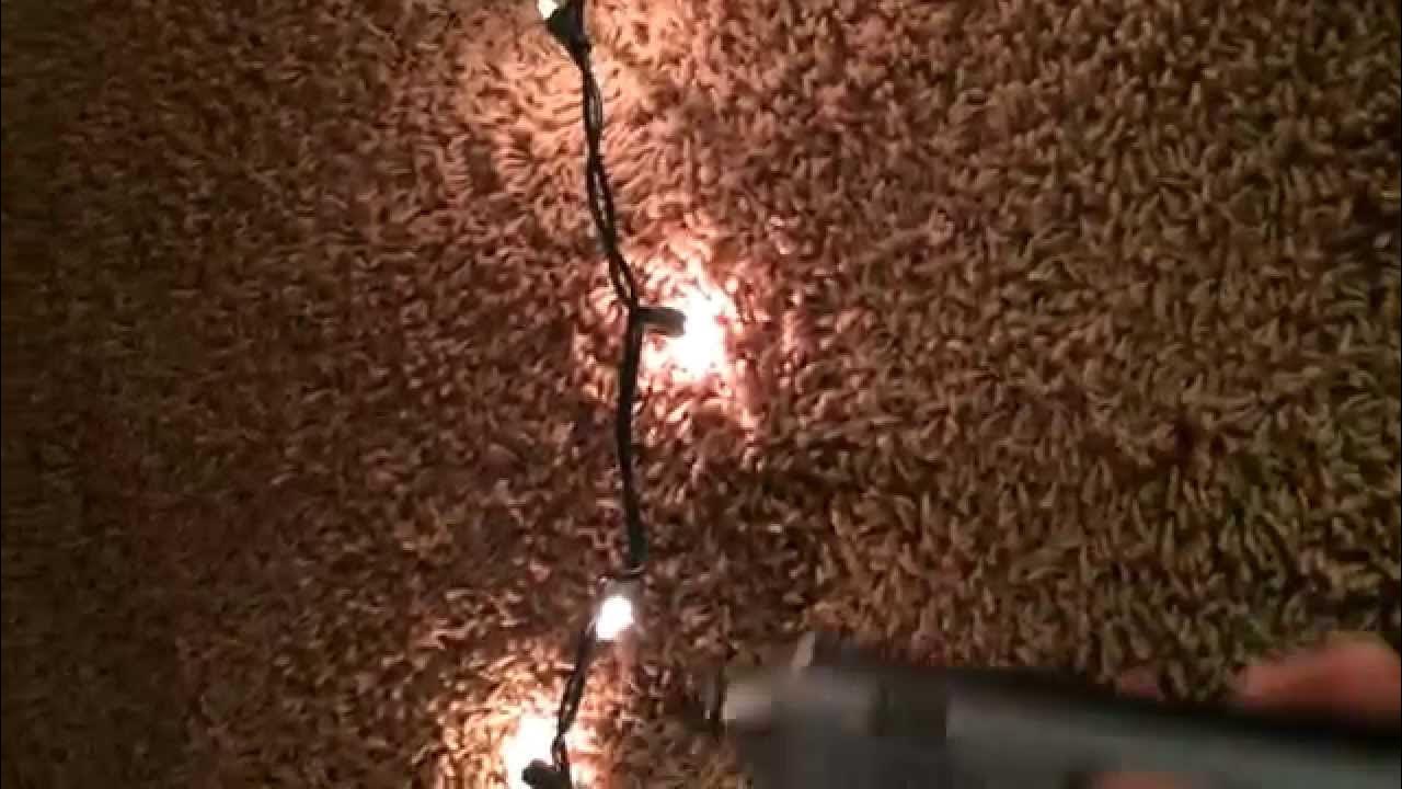 Finding bad Christmas light bulbs easily diagnose and fix using an inductive toner amp wand