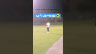 Cought And Bowled | Soft Dismissal | How To Take The Wicket #cricket #cricketlover #cricketer #yt screenshot 5