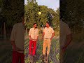 ਕੁਆਰੇ ਮੁੰਡੇ #punjab #funny #pakistan #comedy #trending #fun #viral #punjabisong #liketime #likes