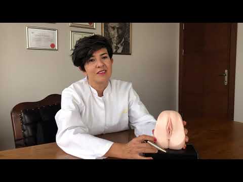 Dış Genital Bölge Anatomisi - Op. Dr. Burcu Karamürsel