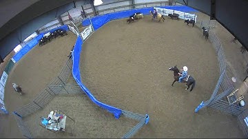 Big Sky Ranch Sorting Saddle Series #4 - #8 HC RANCH HAND (2 CAP SORTER) - Round #2 - Ride #10