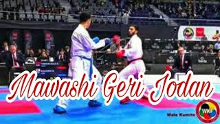 Best Mawashi Geri Jodan In Wkf Bhavesh Parihar Compilation