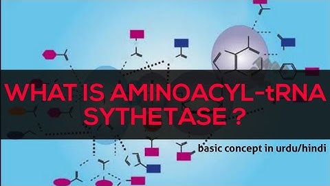 What is aminoacyl-tRNA sythetase? ( Easiest explanation )
