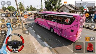 Bus Javas Queen Aneka Bintang Sedang Menunggu Kereta Api Melintas Perjalanan Ke Jakarta