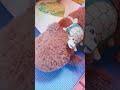 soy un pirata que me prado un rayo