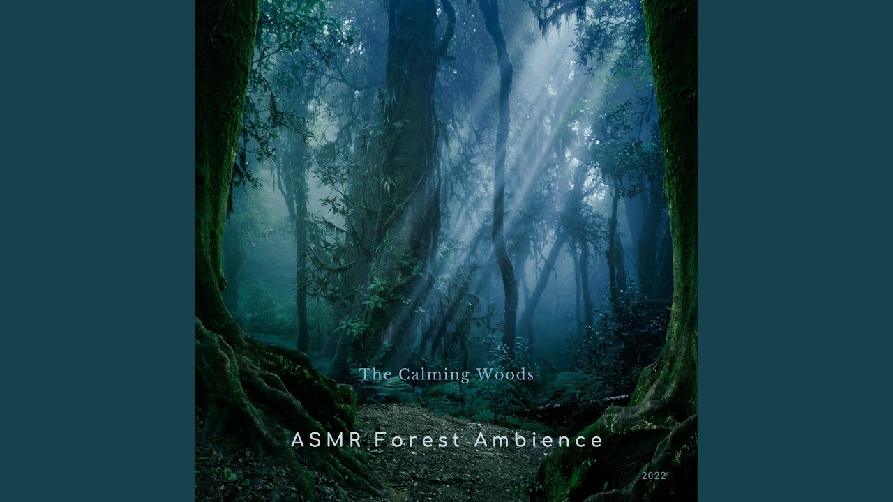 YouTubeでAwaking of the Rainforestを視聴