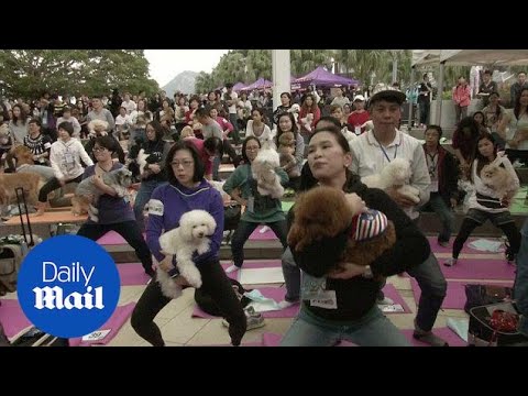 Videó: Gondolja, hogy a Biodegradable Dog Poop táskák valóban zöldek? Nem olyan gyorsan