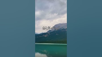 واتس اب قران كريم القارئ ياسر دوسري (سوره نوح)