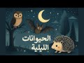  Nocturnal Animals Arabic for Kids حيوانات ليلية للأطفال رسومات تعليمية باللغة العربية mp3