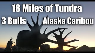 DIY Alaska Caribou, 18 miles of Tundra for 3 Bulls