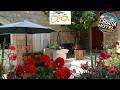 Studio Apartments & Rooms Lela, Sipan island | Slano, Croatia | Hotel Review 🛏️