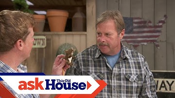 How to Choose a Mouse Trap | Ask This Old House