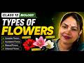 Class 12 TH Biology Chapter 1 Type of Flowers Part 1