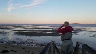 Oystering in Wellfleet