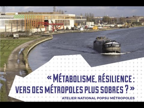 Vidéo: Réparation De La Réticulation ADN – Protéine: Que Savons-nous Maintenant?