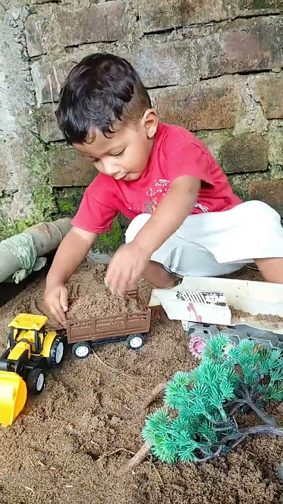 okh mamu trolley ko le chalo #shorts #shortvideo #ytshorts #tractorvideo