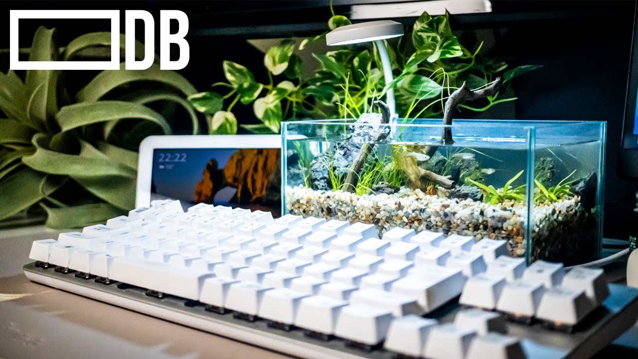 How to build a nano tank desktop biotope: AMAZING Nano Biotope