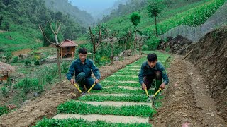 After the flood, Duong and Sang Vy cleaned the grass and repaired the damage caused by mother nature