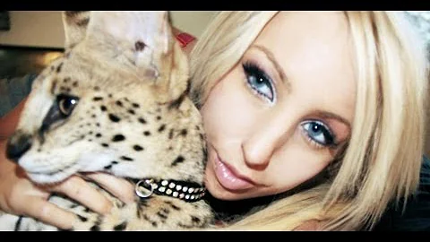 Watch the video about NINJA CAT FLIP