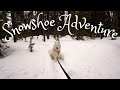 Spring Snowshoe Adventure &amp; an Embarrassing Mistake