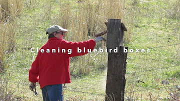 Okanogan Bluebird Trails, Part 2: Maintaining and Repairing Boxes