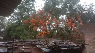 अल्लाह पाक बहुत मेहरबान है I Allah Pak Hue Meherbaan II #Allahmeherbaan #ShifaanRukhsida #dailyvlog