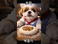 Cold Weather Calls for Something Sweet 🥞🍯 Bokdori’s Hotteok Time 🐶