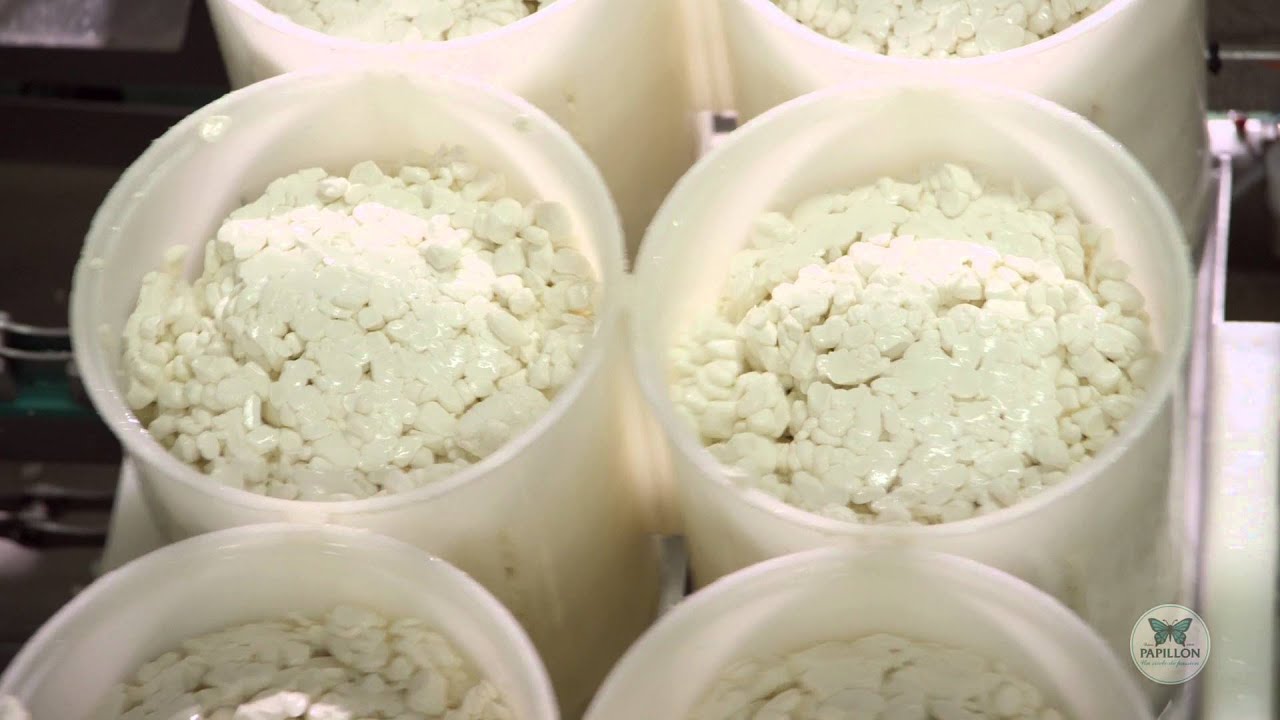 Roquefort Papillon Movie Long Version English