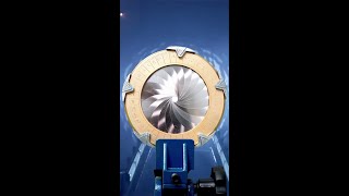 Iris Stargate