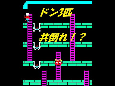 スペースパニック ドンの共倒れ Space Panic YouTube