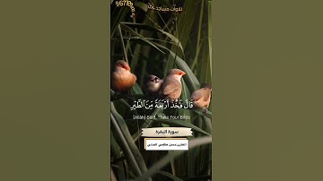 حسن فهمي العدني #تلاوات_مساجد_عدن #اكسبلور #سورة_البقرة  #قصة_الطيور_الاربعه