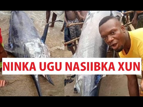 NIN ISKA QASAARIYAY KALUUNKA ADUUNKA UGU QAALISAN