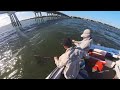 Sports fishing Brisbane bridges